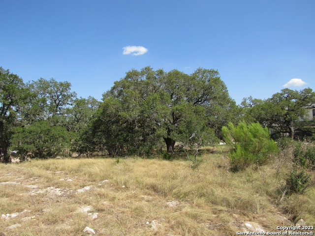 Image 5 of 8 For 34736 Casita Creek Ln