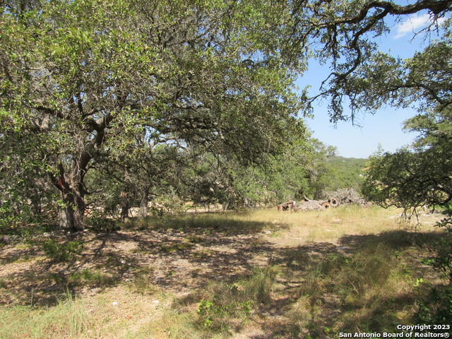 Image 6 of 8 For 34736 Casita Creek Ln