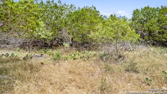 Image 7 of 18 For 133 Rabbit Run