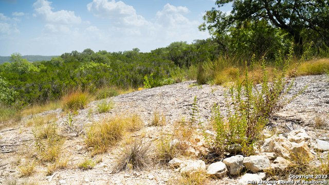 Image 17 of 27 For 66 Winton Ridge