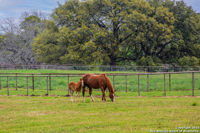 Image 15 of 24 For 6900a Fm 389