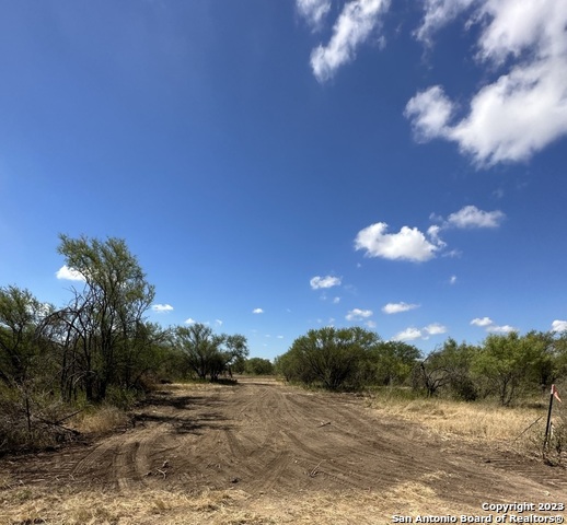 Listing photo id 1 for 000 Old Hwy 90