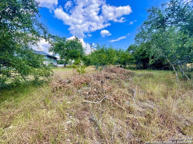 Details for 140 N Calvin Barrett, Blanco, TX 78606