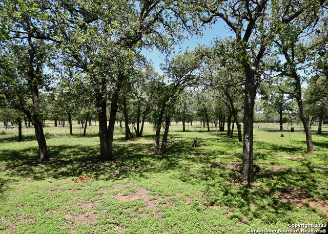 Image 13 of 21 For 640 Luckenbach Rd