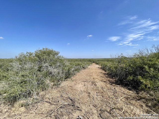 Details for Tract 15 Cr 1515, Moore, TX 78057