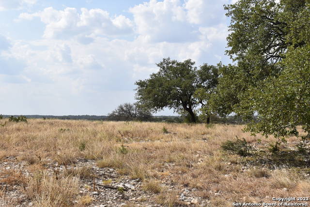 Image 10 of 27 For 000 Cattlemans Crossing Drive