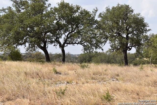 Image 11 of 27 For 000 Cattlemans Crossing Drive