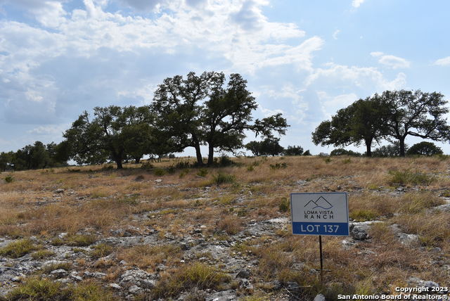 Image 6 of 27 For 000 Cattlemans Crossing Drive