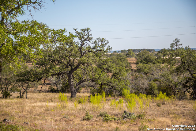 Image 18 of 24 For Lot 52 Leo Ct