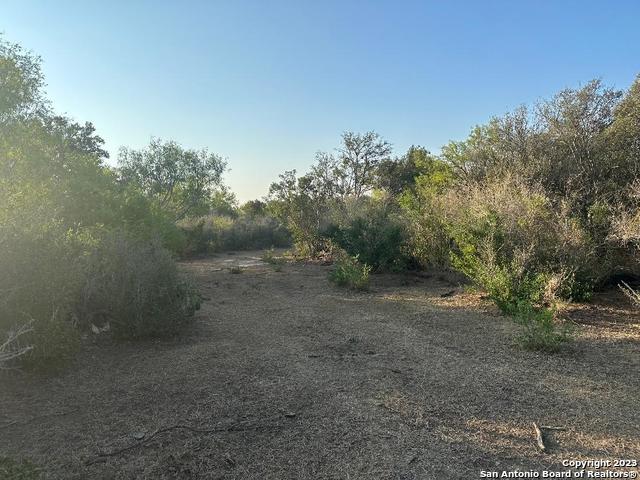 Listing photo id 12 for 000 Adkins-st. Hedwig Road