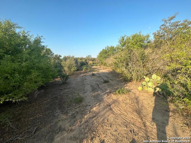 Listing photo id 13 for 000 Adkins-st. Hedwig Road