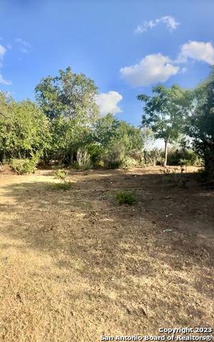 Listing photo id 21 for 000 Adkins-st. Hedwig Road