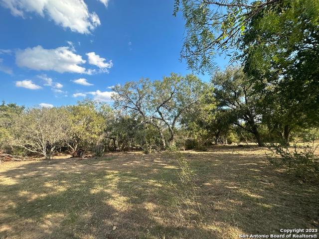 Listing photo id 27 for 000 Adkins-st. Hedwig Road