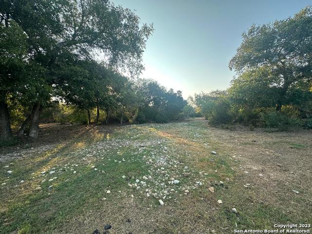 Listing photo id 28 for 000 Adkins-st. Hedwig Road