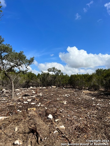 Image 9 of 12 For 463 Ranch Pass