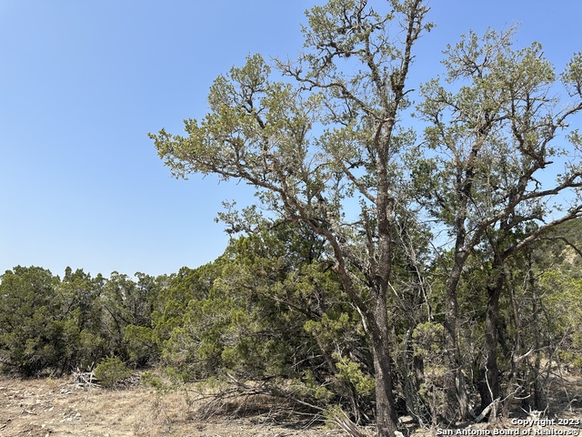 Image 8 of 9 For 552 Sendera Valley Drive