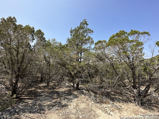 Image 8 of 10 For 560 Sendera Valley Drive