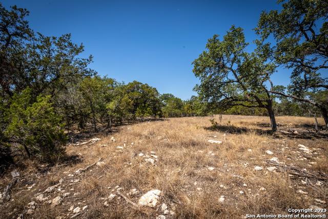 Image 15 of 25 For 45 Mezcaya Trail