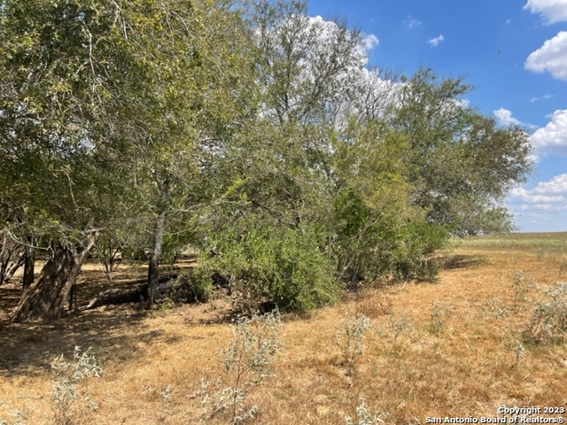 Image 8 of 8 For 06 County Road 232