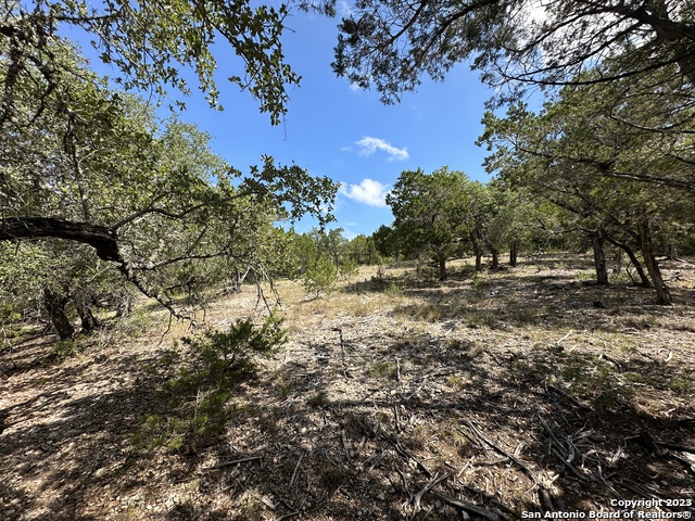 Image 8 of 15 For 439 Private Road 1706