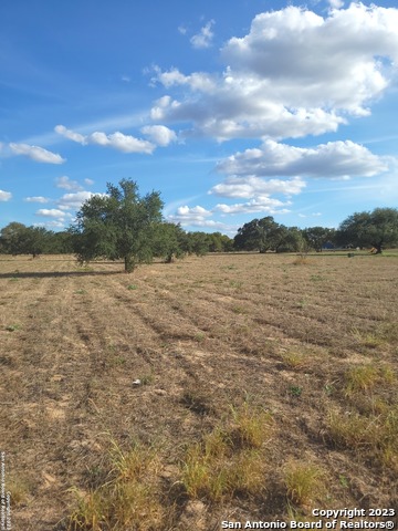 Image 4 of 9 For Lot 229 Ih 35 N