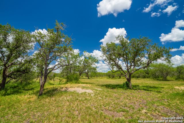 Image 3 of 13 For 9815 Us-181 N