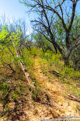 Image 2 of 12 For County Road 661