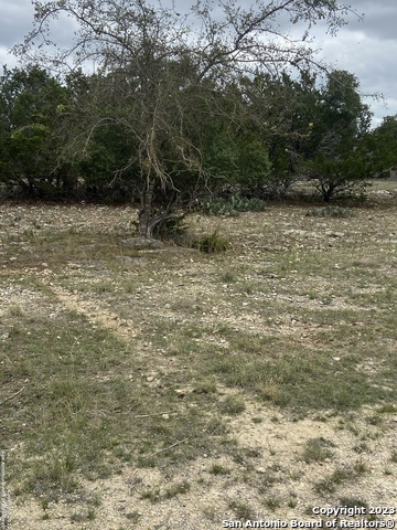 Image 5 of 10 For Lot 31 Pr 1510