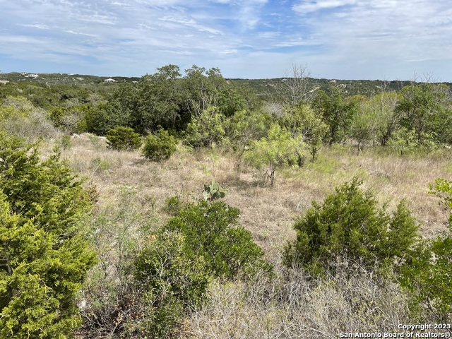 Details for Lot 59 County Road 273, Mico, TX 78056