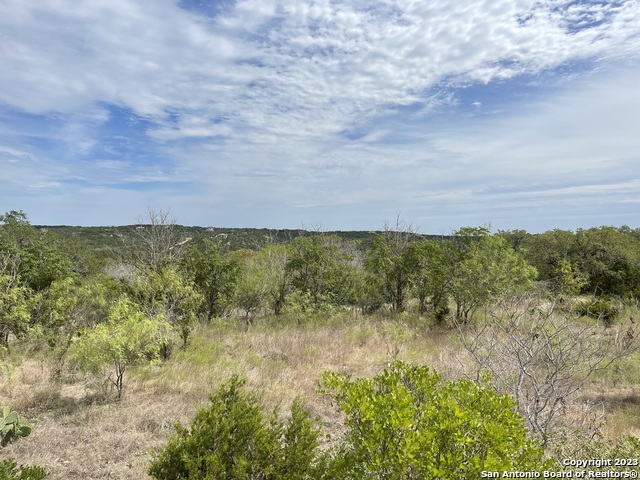 Image 9 of 11 For Lot 59 County Road 273