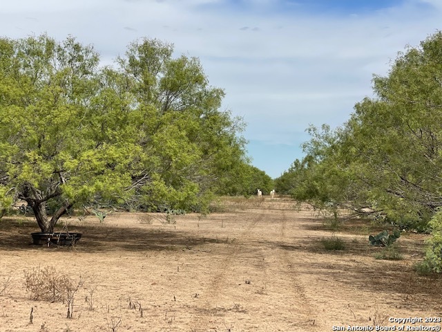 Image 8 of 8 For 02 County Road 329