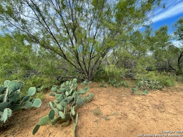 Image 6 of 8 For 08 County Road 329