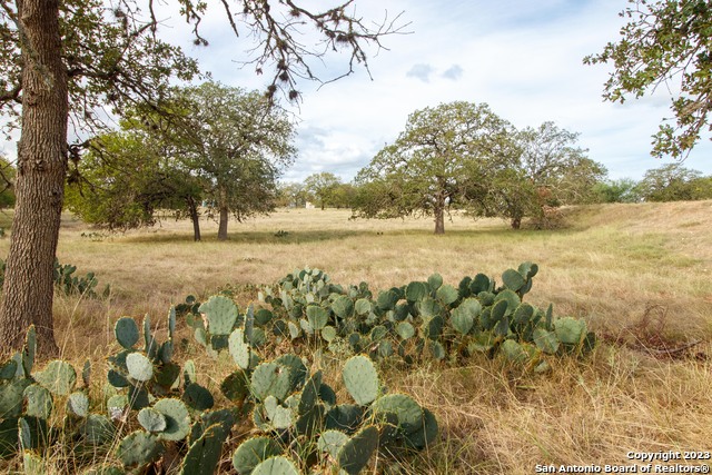 Details for 455 Hubble Ln, Medina, TX 78055