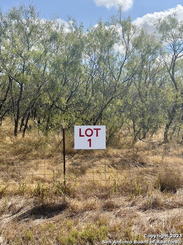 Details for Tbd Lot 1 State Highway 80, Nixon, TX 78140