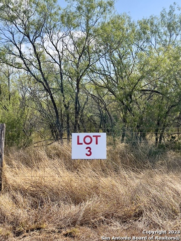 Details for Tbd Lot 3 State Highway 80, Nixon, TX 78140