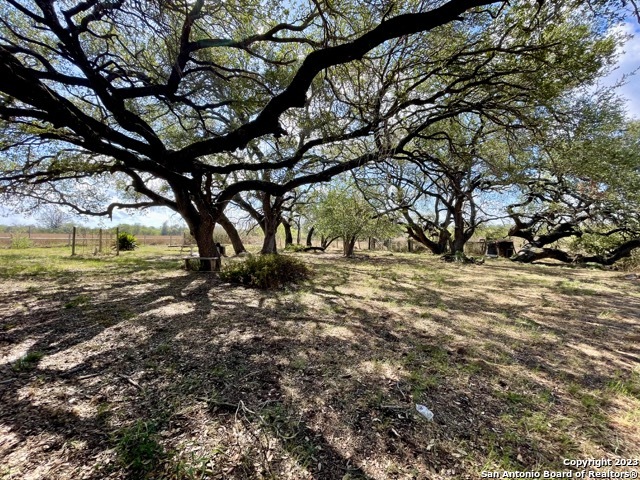 Image 21 of 29 For 284 County Road 6612