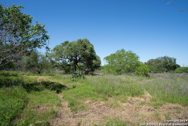 Image 14 of 34 For Tbd Cr 171  