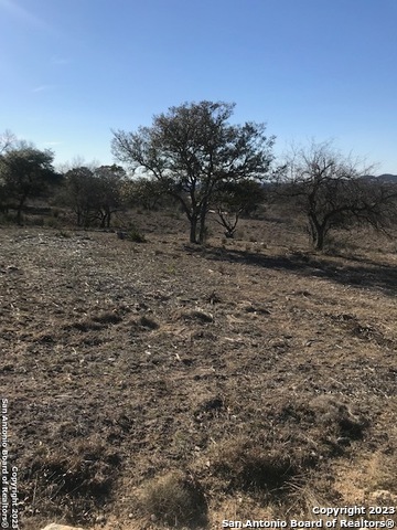 Image 4 of 12 For Lot 49 Blackbuck Trail