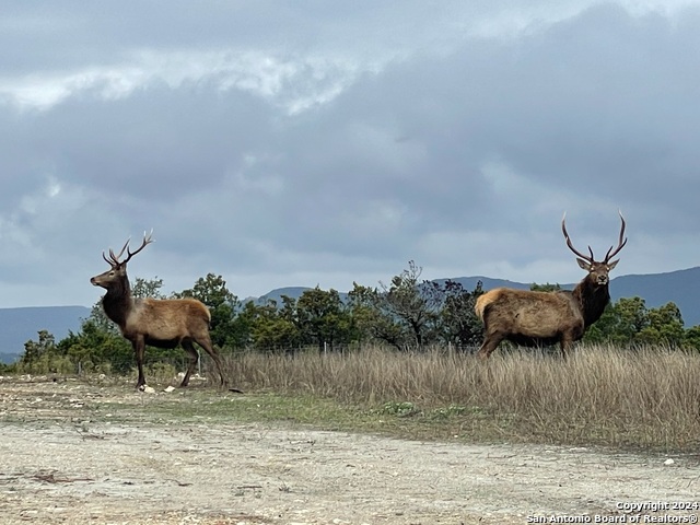 Details for Lot 78 Oryx St., Pipe Creek, TX 78063