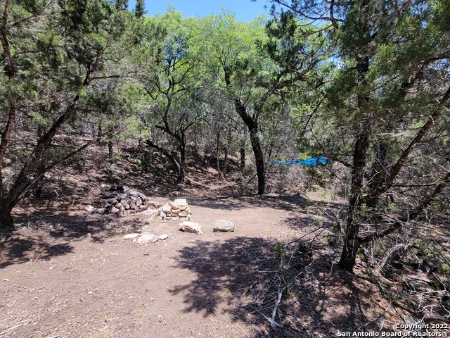 Image 9 of 29 For Lot 115 Lakeridge Loop