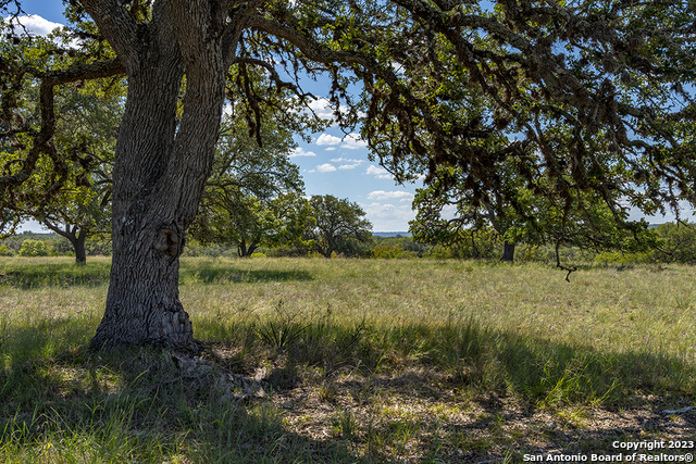 Image 10 of 22 For 855 Lindig Ranch Rd