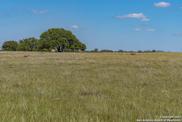 Image 15 of 22 For 855 Lindig Ranch Rd