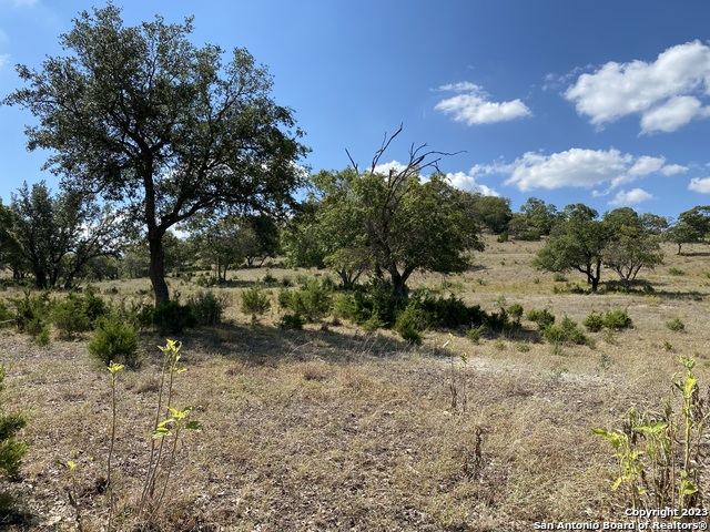 Image 8 of 12 For Lot 43 Blackbuck Trail