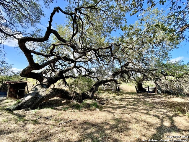 Image 22 of 29 For 284 County Road 6612