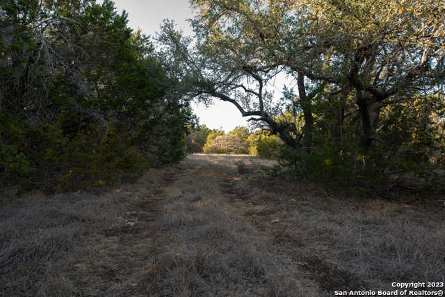 Listing photo id 24 for 1491 Cypress Cove Rd