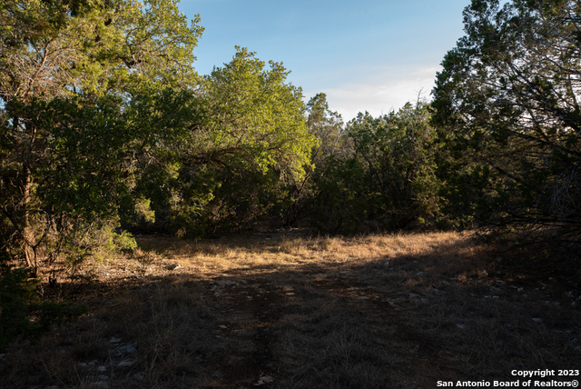 Listing photo id 27 for 1491 Cypress Cove Rd