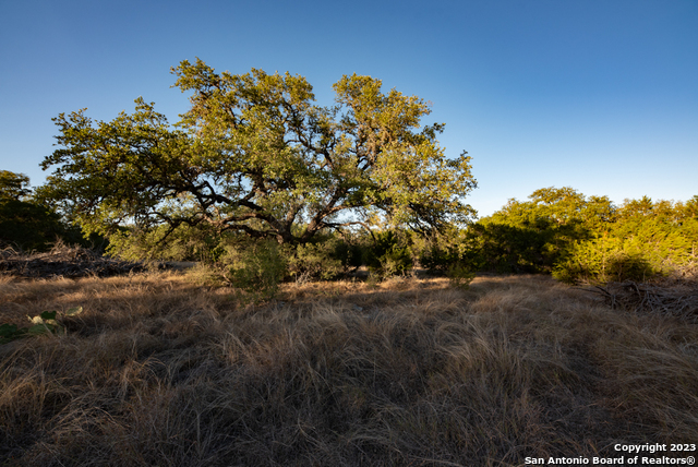 Image 36 of 68 For 1491 Cypress Cove Rd