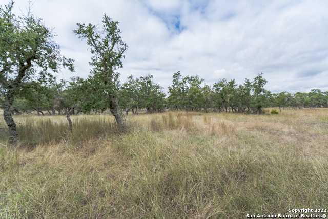 Image 15 of 19 For 000 Stevens Ranch