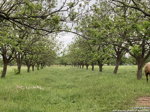 Image 1 of 60 For Tbd Krams Creek Rd