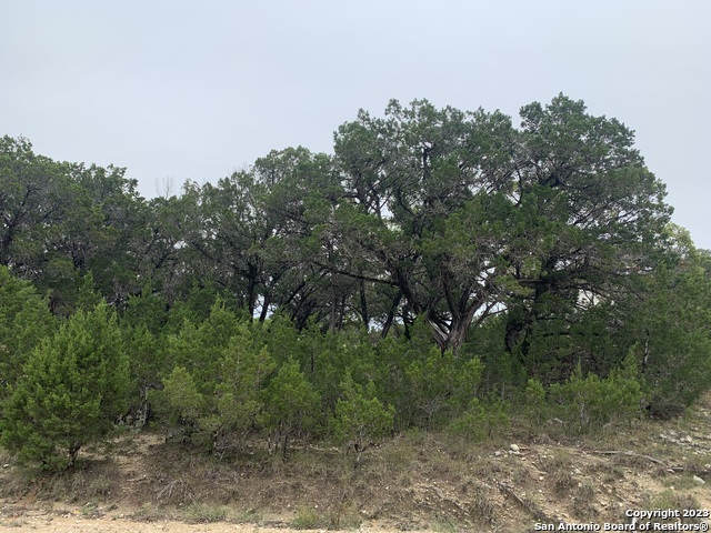 Details for Lot 463 Topside, Bandera, TX 78003